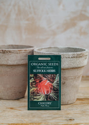 Chicory ‘Palla Rossa’ Seeds