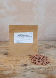 Climbing French Bean 'Barlotta Lingua di Fuoco 2', 100g