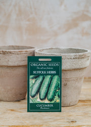 Cucumber 'Marketmore' Seeds