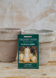 Gourd ‘Waltham Butternut’ Seeds