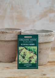 Lettuce ‘Mixed’ Seeds