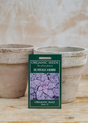 Kale ‘Redbor F1’ Seeds