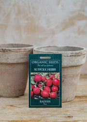 Radish ‘Saxa’ Seeds