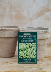 Spinach ‘Renegade F1’ Seeds