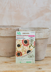 Sunflower 'Summer Lovin F1' Seeds