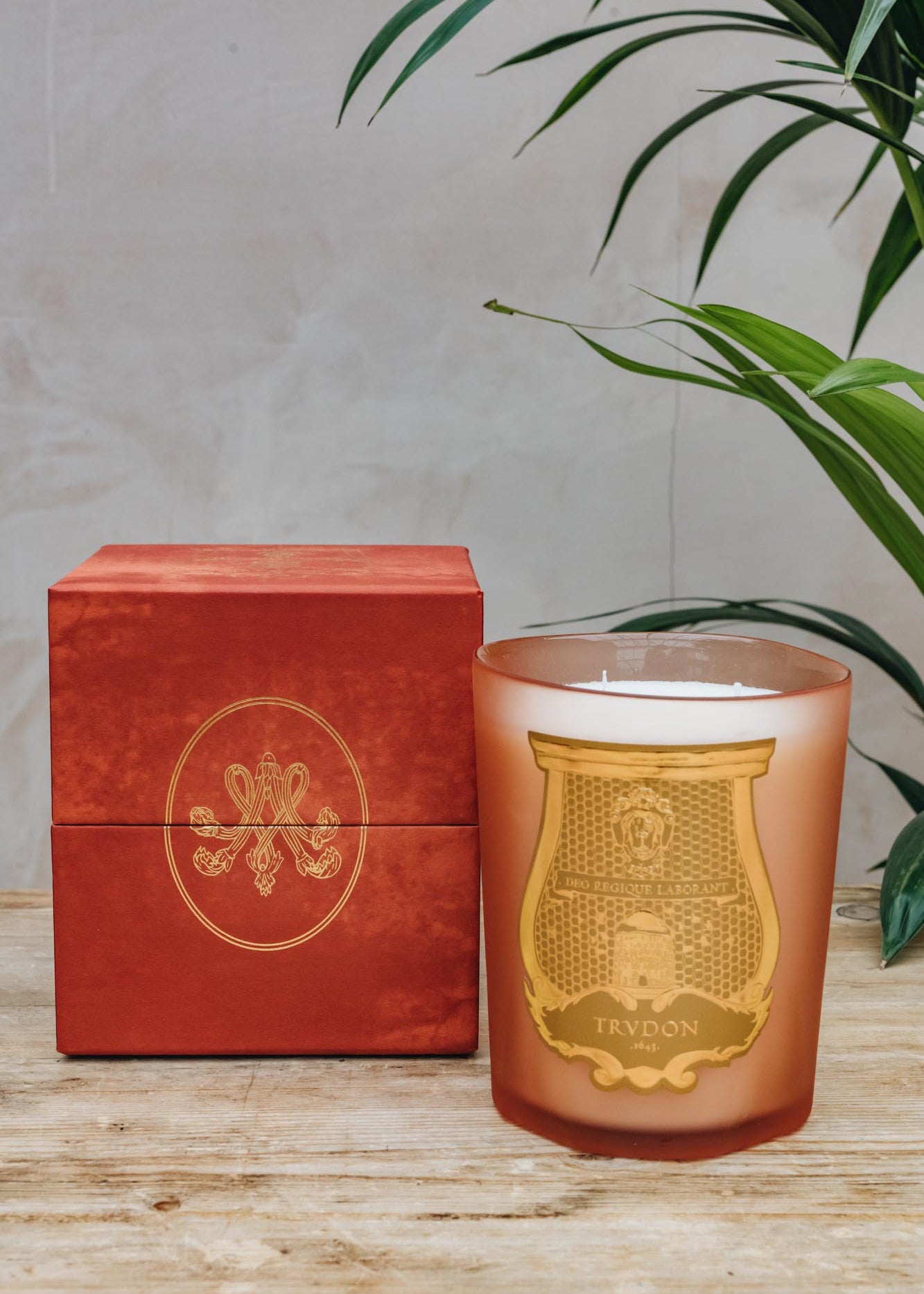 Trudon Large Classic Candle in Tuileries