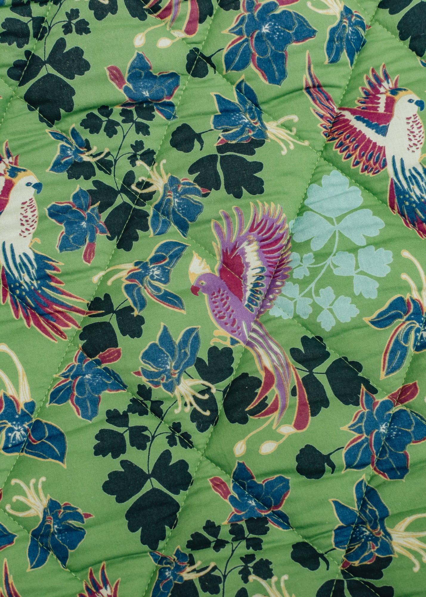 Les Touristes Yoga/Leisure Mat in Vibrant Green Columbia