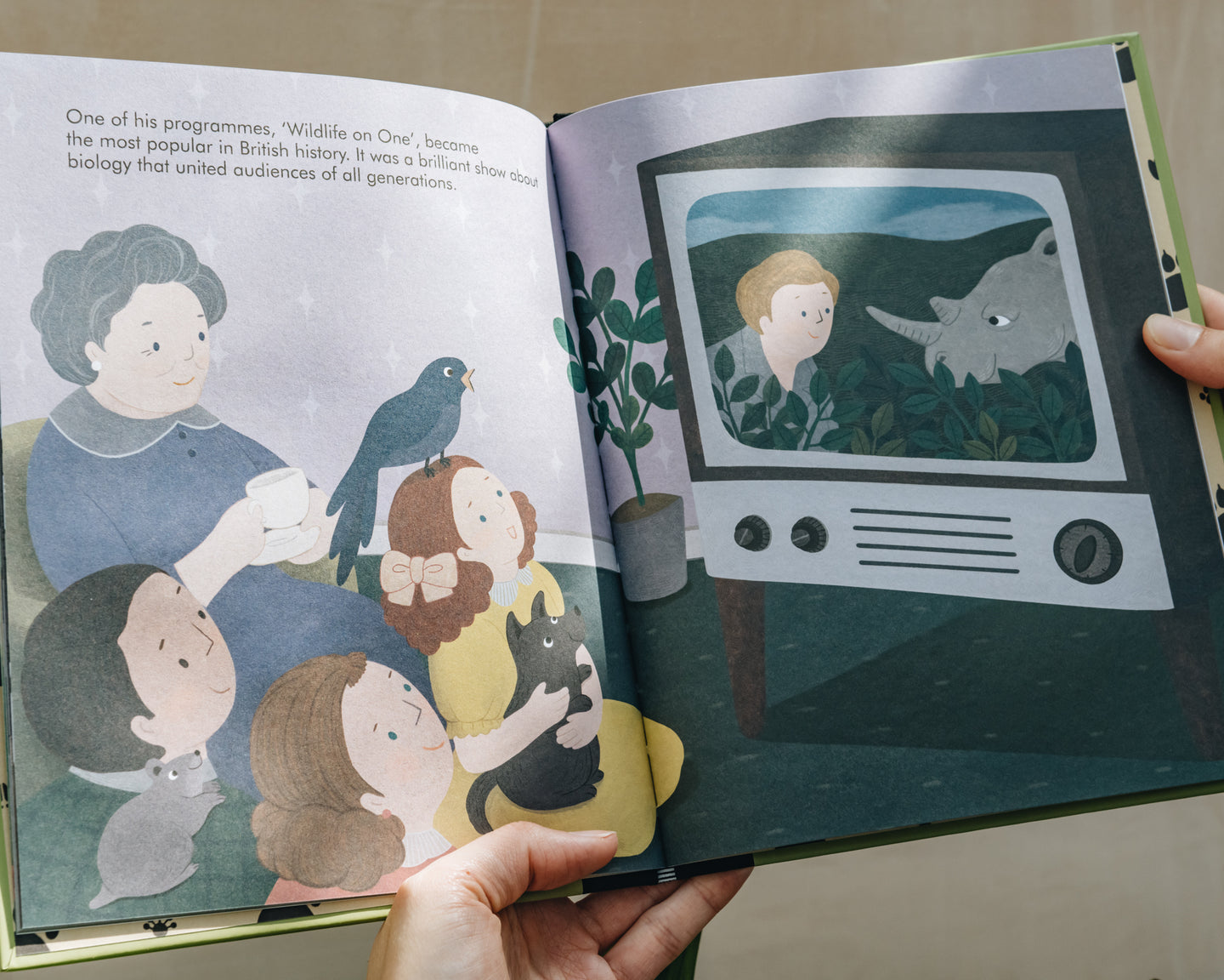 Children's Books Little People, Big Dreams: David Attenborough
