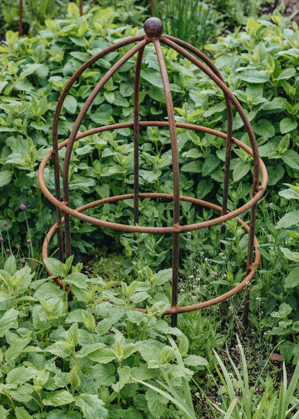 metal lobster pot plant support Lobster Pot Support