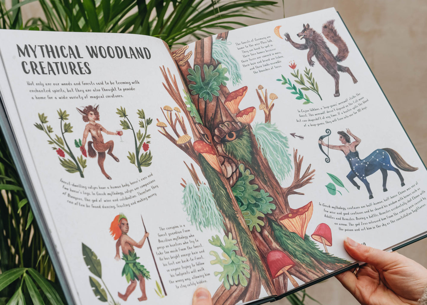 Children's Books Lore of the Land: Folklore and Wisdom from the Wild Earth