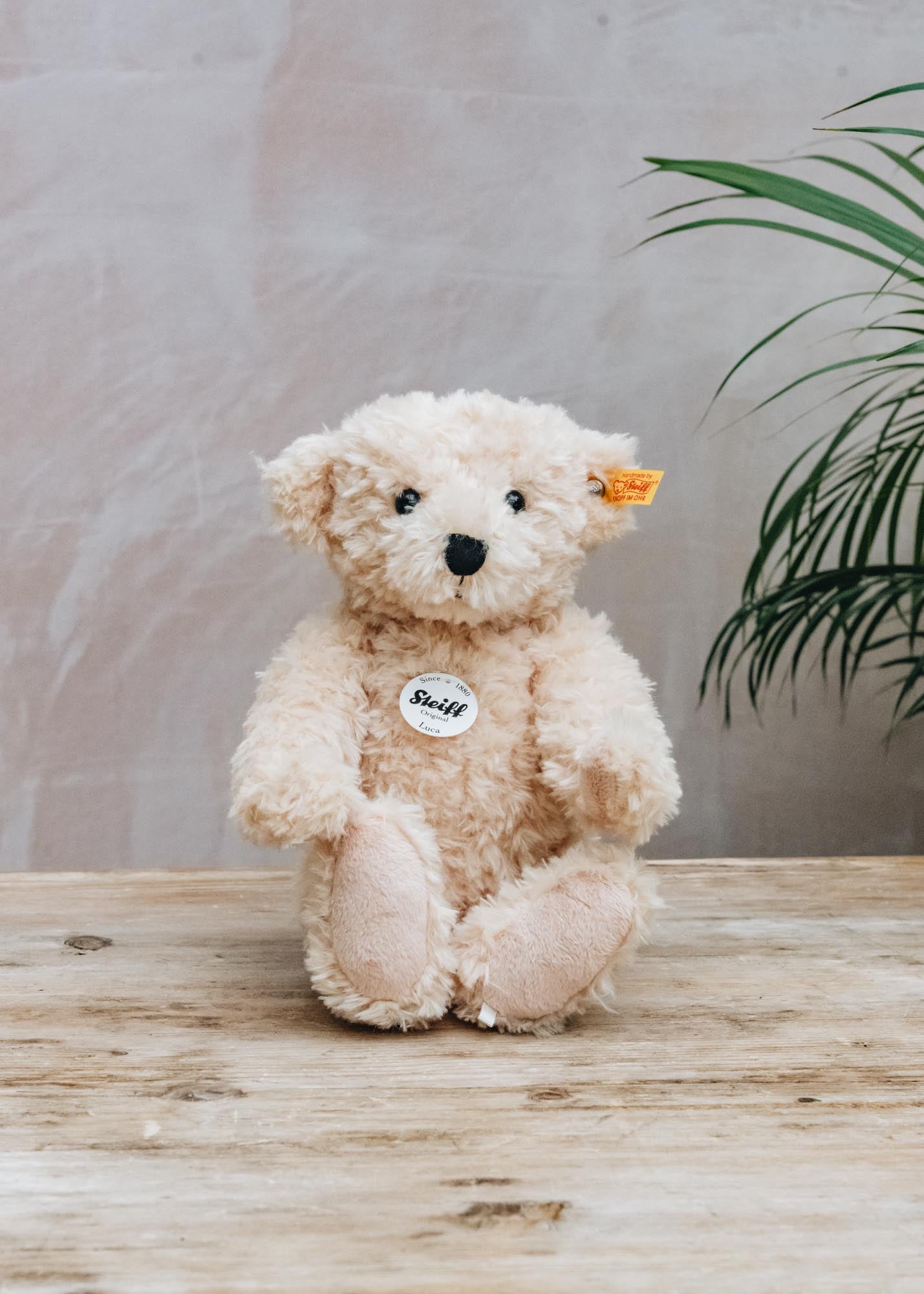 Steiff Luca Teddy Bear