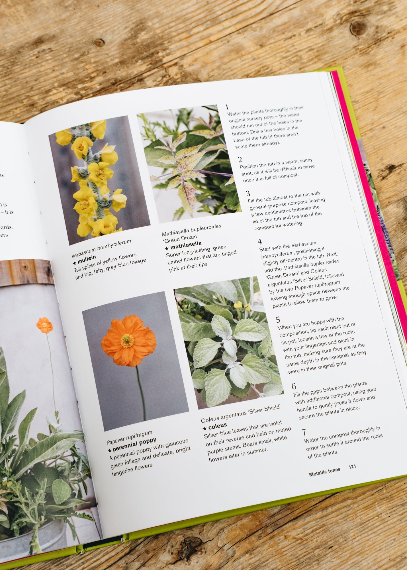 Books *Pre-Order Only* Colour in the Garden: Stylish Ideas for Year Round Colour, signed copy