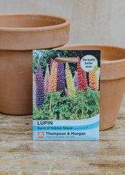 Lupin Band of Nobles Mixed Seeds