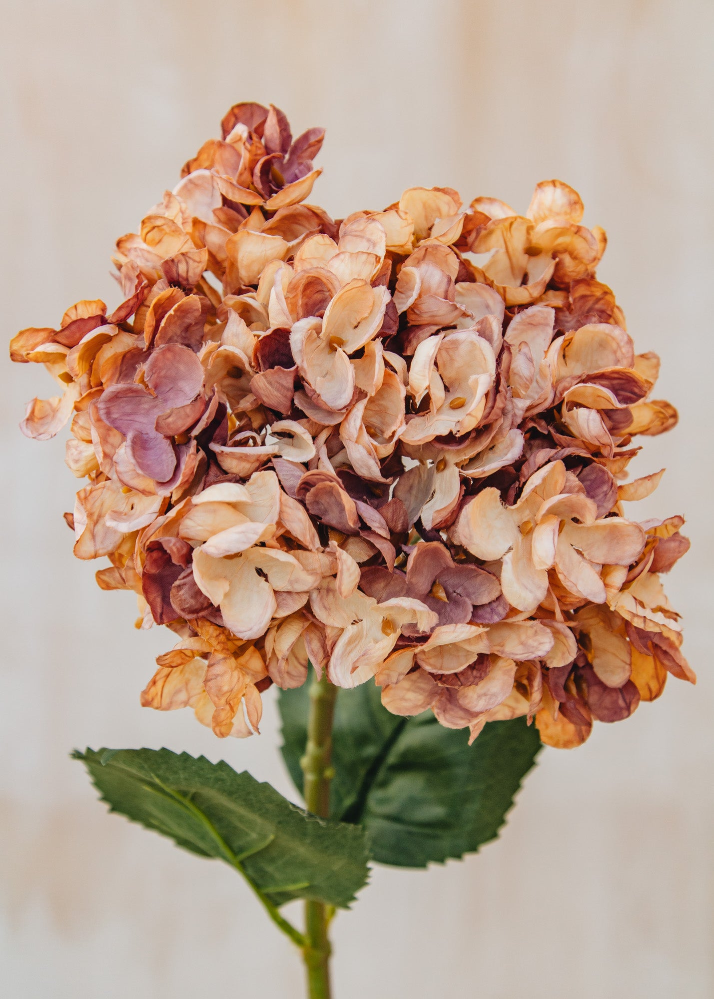 Maggie: Timeless Flowers Artificial Single Hydrangea in Purple