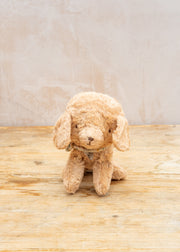 Small Puppy in Dusty Powder