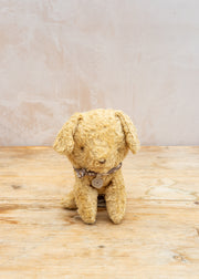 Small Puppy in Soft Sand