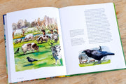 Books A Year in the Garden