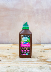 Branche D'Olive Organic Seaweed Extract Liquid Plant Growth Stimulant and Sequestered Iron, 1L
