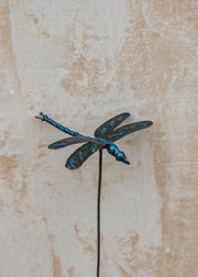 Arrosoir et Persil Arrosoir et Persil Metal Blue Dragonfly Stake