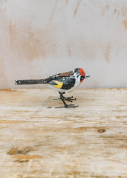 Arrosoir et Persil Arrosoir et Persil Metal Goldfinch Ornament