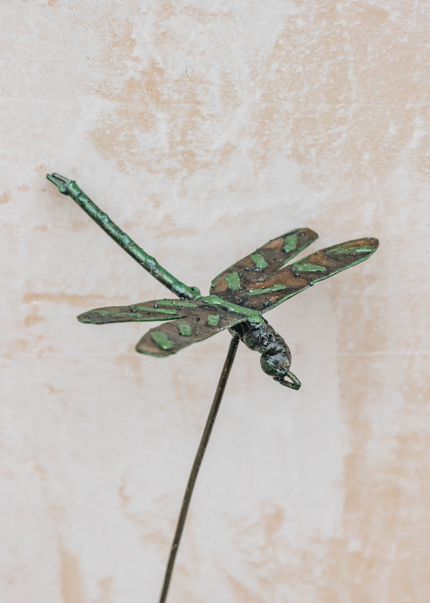Arrosoir et Persil Metal Green Dragonfly Stake