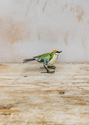 Arrosoir et Persil Arrosoir et Persil Metal Kinglet Ornament