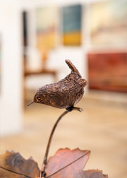 Burford Gallery Wren on Sycamore