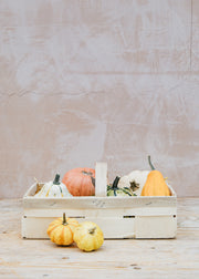 Mixed Ornamental Gourd Collection in Basket