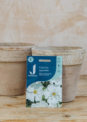 Cosmos 'Psyche White' Seeds