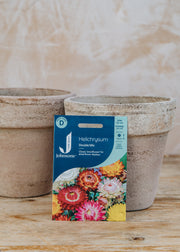 Helichrysum 'Double Mixed' Seeds