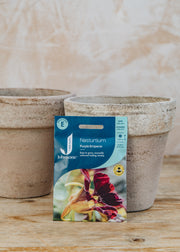 Nasturtium 'Purple Emperor' Seeds