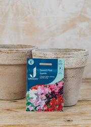 Sweet Pea 'Royal Mix' Seeds