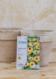 Rudbeckia 'Toto' Seeds