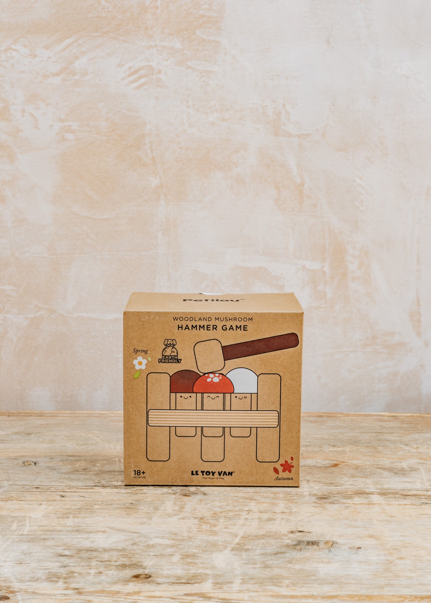 Mr Mushroom Hammer Game