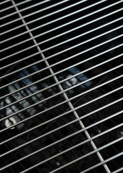 Napoleon Premium 18 Charcoal Kettle Barbecue