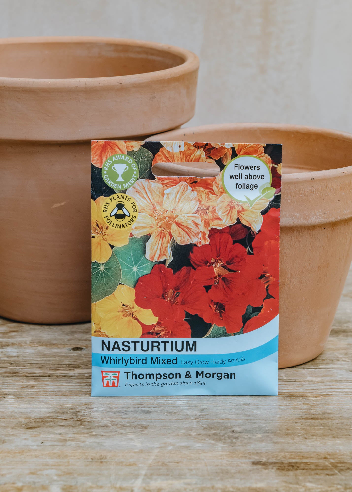 Nasturtium Whirlybird Mixed Seeds