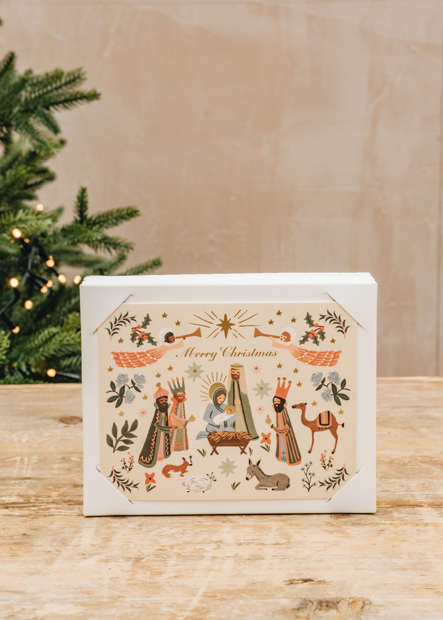 Books Rifle Paper Co. Nativity Scene 'Merry Christmas' Christmas Cards, pack of eight