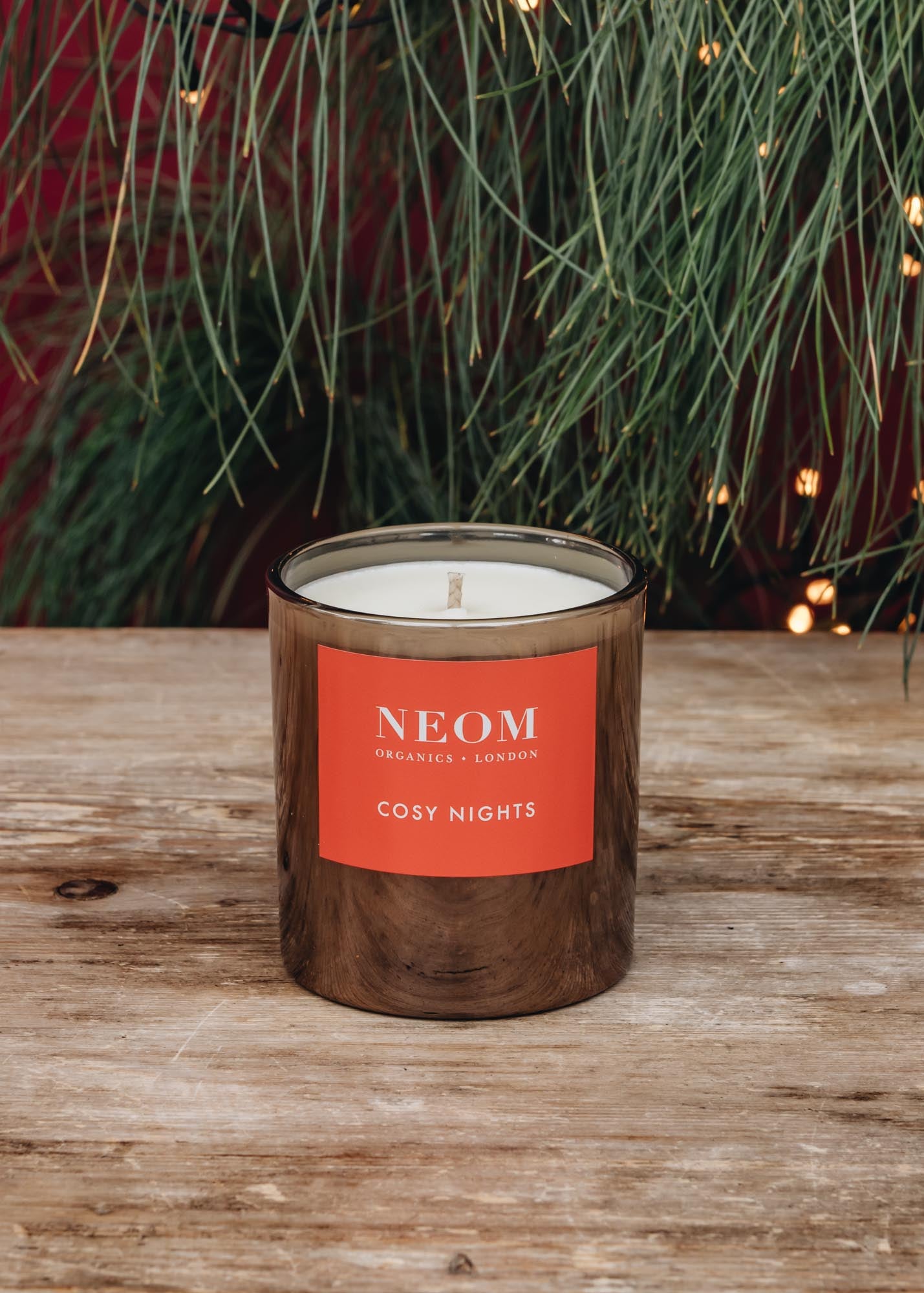 Neom Organics Cosy Nights One Wick Candle