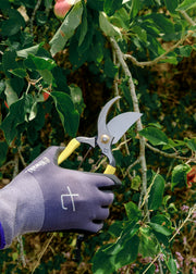 Niwaki Higurashi GR Secateurs
