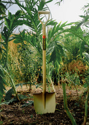 Niwaki Long Golden Spade