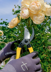 Plantsmith Mainichi Secateurs