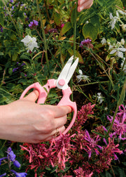 Sakagen Flower Scissors in Pink