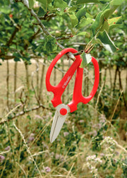 Sakagen Flower Scissors in Red