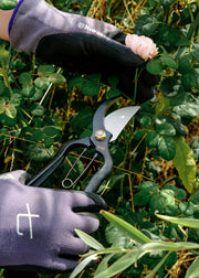 Niwaki Sentei Secateurs