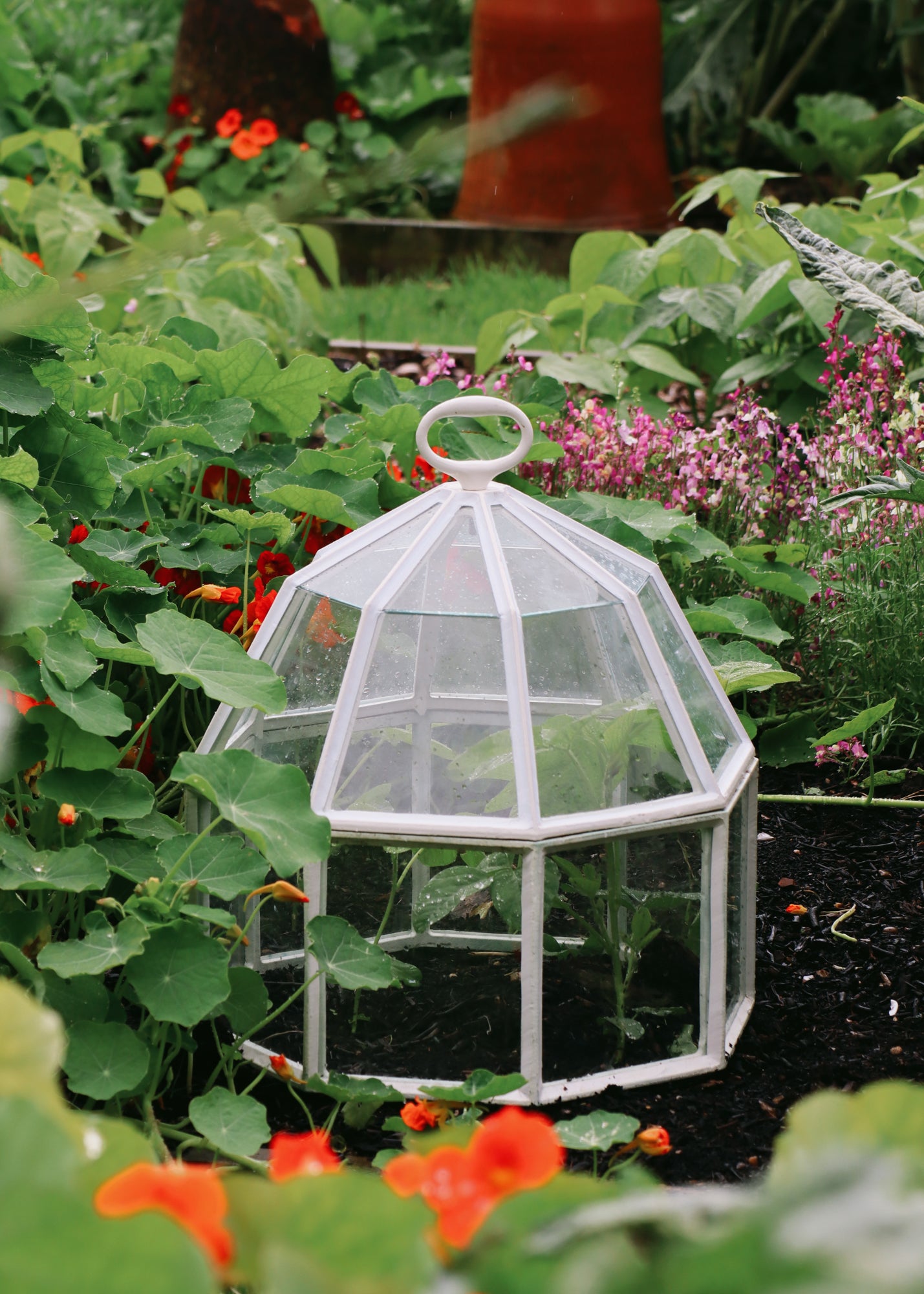 Claverton Cloches Octagonal Garden Cloche