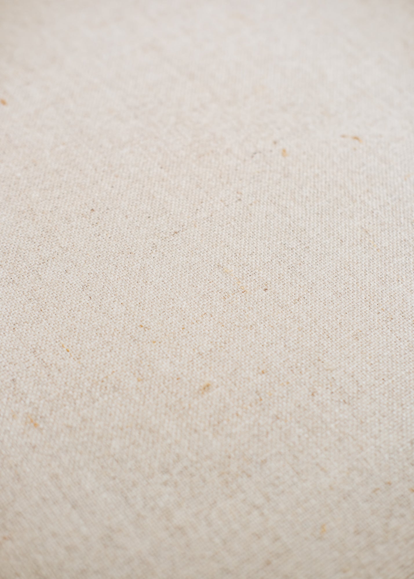 One.World St. James Beige Dining Chair