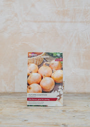 Onion Autumn Champion, pack of 50 sets