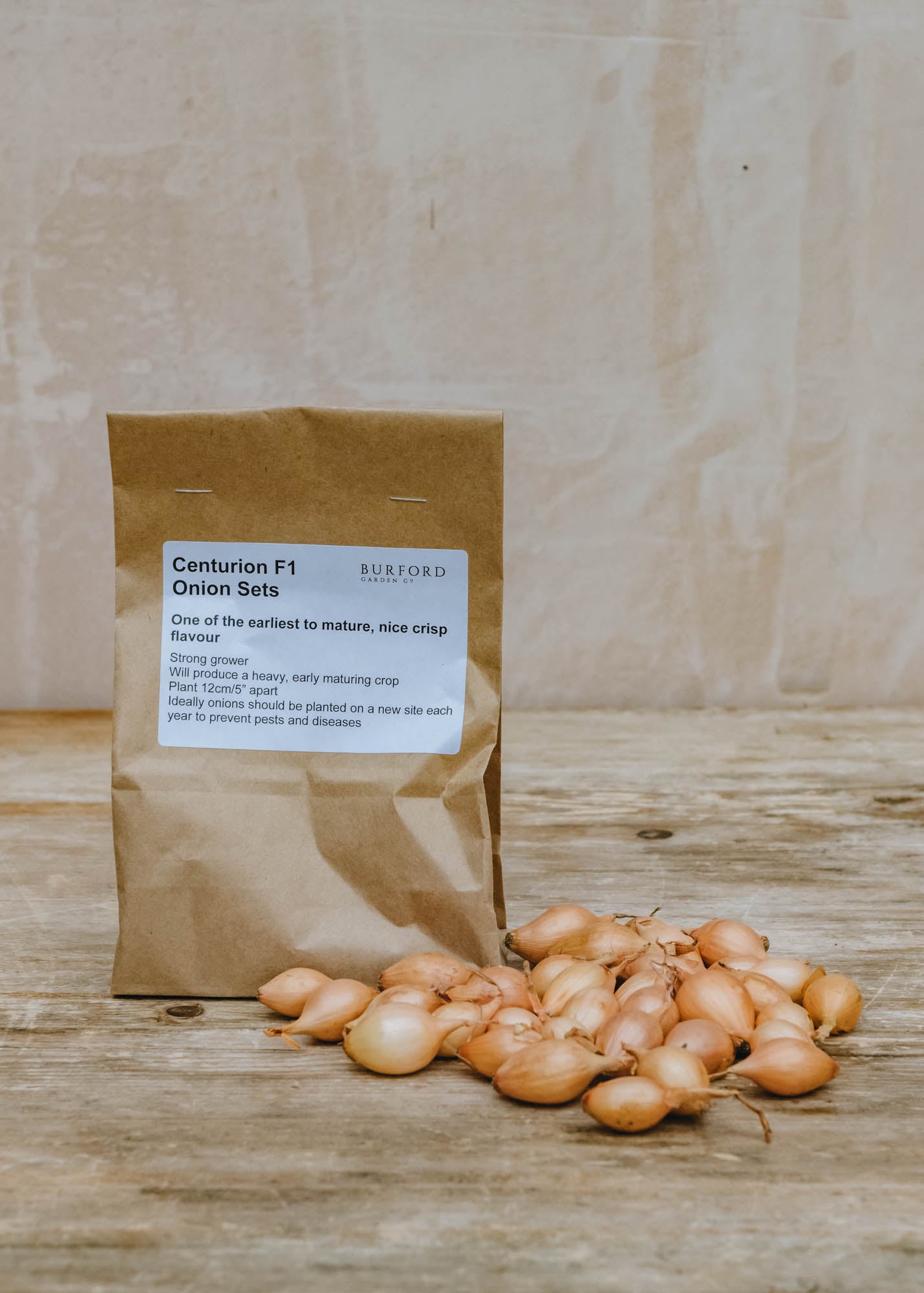 Onion 'Centurion F1', pack of 50 sets