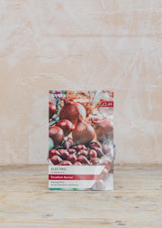 Onion Electric pack of 50 sets