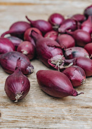 Taylors Bulbs Onion 'Red Baron', pack of 50 sets